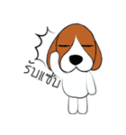 Chalee Beagle（個別スタンプ：32）