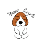 Chalee Beagle（個別スタンプ：34）