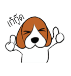 Chalee Beagle（個別スタンプ：37）