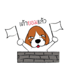 Chalee Beagle（個別スタンプ：38）