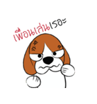 Chalee Beagle（個別スタンプ：40）