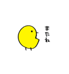 ひよこの平凡なスタンプ（個別スタンプ：21）