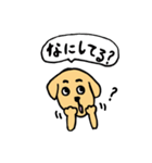 わんにゃんラブラブスタンプ（個別スタンプ：8）