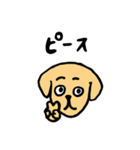 わんにゃんラブラブスタンプ（個別スタンプ：32）