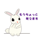 Molly ＆ Bunny ( おんなのひと＆ うさぎ )（個別スタンプ：13）