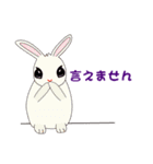 Molly ＆ Bunny ( おんなのひと＆ うさぎ )（個別スタンプ：14）