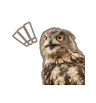 Qowl（個別スタンプ：1）