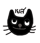 Black Cat, Dark Cat, Nice Cat（個別スタンプ：10）