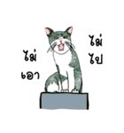 ZaaMeawthai（個別スタンプ：6）