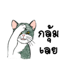 ZaaMeawthai（個別スタンプ：11）