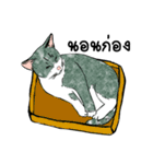 ZaaMeawthai（個別スタンプ：19）