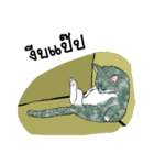 ZaaMeawthai（個別スタンプ：34）