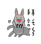 Miss O and Big nose Rabbit（個別スタンプ：26）