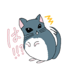 チンチラのむーちゃん（個別スタンプ：13）