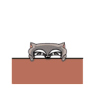 An Emo Raccoon（個別スタンプ：35）
