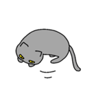 猫の三島（個別スタンプ：6）