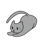 猫の三島（個別スタンプ：9）