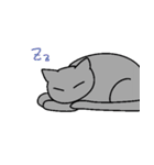 猫の三島（個別スタンプ：11）