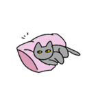 猫の三島（個別スタンプ：14）