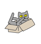 猫の三島（個別スタンプ：15）