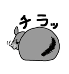 もふもふのチンチラ（個別スタンプ：2）