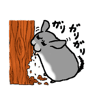 もふもふのチンチラ（個別スタンプ：4）