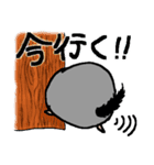 もふもふのチンチラ（個別スタンプ：5）