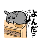 もふもふのチンチラ（個別スタンプ：6）