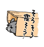 もふもふのチンチラ（個別スタンプ：13）