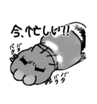 もふもふのチンチラ（個別スタンプ：20）