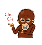 Otan The OrangUtan（個別スタンプ：1）