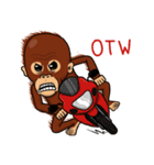 Otan The OrangUtan（個別スタンプ：4）