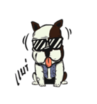 Snook ＆ Stang（個別スタンプ：31）