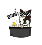Snook ＆ Stang（個別スタンプ：36）