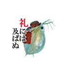 大怪獣ミジン娘 スタンプ（個別スタンプ：13）