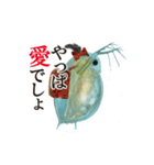 大怪獣ミジン娘 スタンプ（個別スタンプ：20）