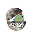 大怪獣ミジン娘 スタンプ（個別スタンプ：28）