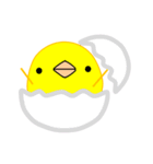 ピヨピヨひよこの気持ち（個別スタンプ：3）