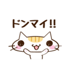 ネコのちっち（個別スタンプ：9）