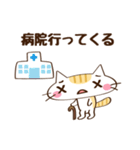 ネコのちっち（個別スタンプ：12）