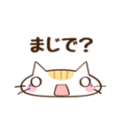 ネコのちっち（個別スタンプ：19）