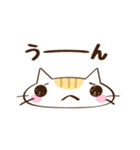 ネコのちっち（個別スタンプ：25）