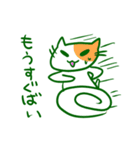 長崎弁猫（個別スタンプ：3）
