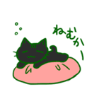 長崎弁猫（個別スタンプ：4）