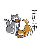 ご主人大好き犬2-ジョンと鮫次郎-（個別スタンプ：4）