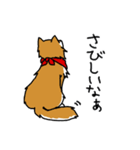 ご主人大好き犬2-ジョンと鮫次郎-（個別スタンプ：13）