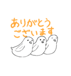 もちインコ（個別スタンプ：1）