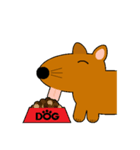 TAMLAY The Brown Dog（個別スタンプ：24）