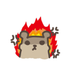 Brownie Bear Bernie ！！（個別スタンプ：5）