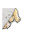 little cat mayn version sticker（個別スタンプ：4）